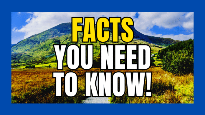 50 facts thumbnail v2