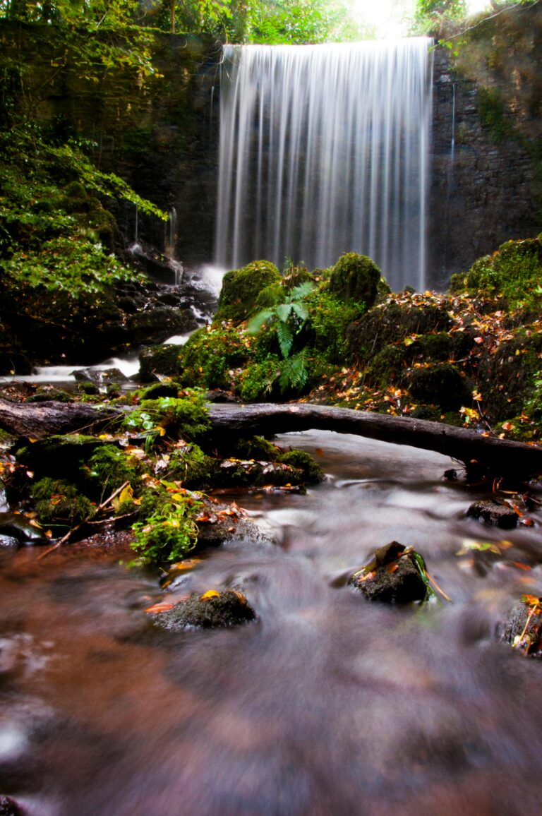 Stunning waterfall flowing through lush forest in Carmarthenshire, Wales.