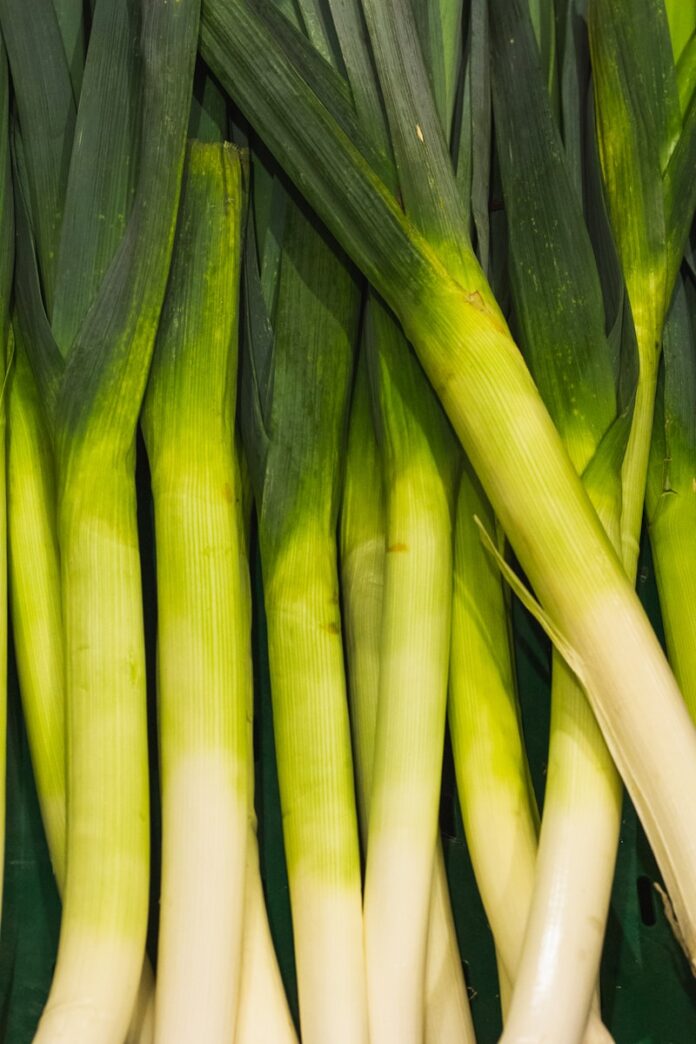 A close up of a bunch of green onions